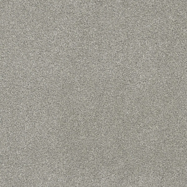 Dreamweaver Carpet Rock Solid II Dove Carpet 4355_800