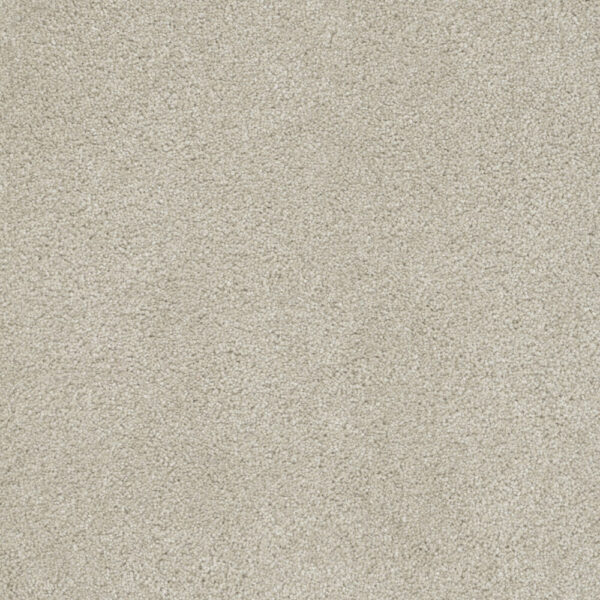 Dreamweaver Carpet Rock Solid III Dusk Carpet 4365_820