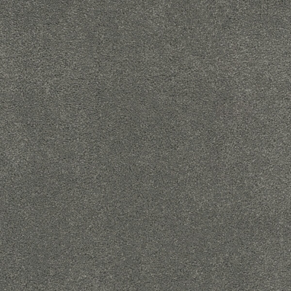 Dreamweaver Carpet Rock Solid III Clover Carpet 4365_859