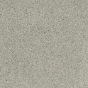Dreamweaver Carpet Rock Solid III Stucco Carpet 4365_905