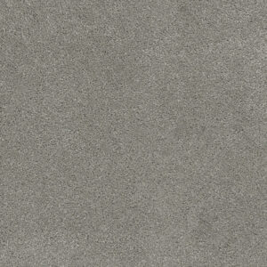 Dreamweaver Carpet Rock Solid III Chrome Carpet 4365_927