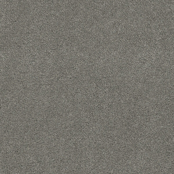 Dreamweaver Carpet Rock Solid I Vintage Pewter Carpet 4345_957