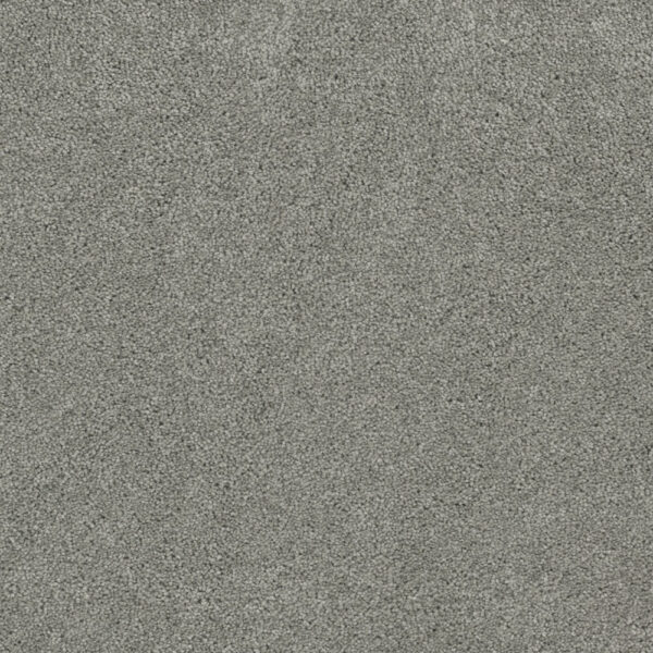 Dreamweaver Carpet Rock Solid II Shamrock Carpet 4355_973