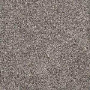 Dreamweaver Carpet Rustic Retreat II Dried Sage Carpet 4455_4112