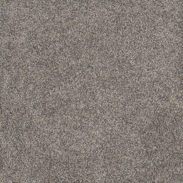 Dreamweaver Carpet Rustic Retreat II Dried Sage Carpet 4455_4112
