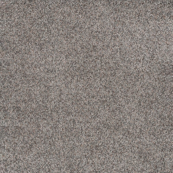 Dreamweaver Carpet Rustic Retreat I Songbird Carpet 4440_4120