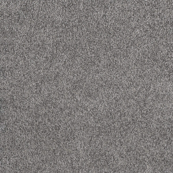 Dreamweaver Carpet Rustic Retreat I Blueberry Field Carpet 4440_4125