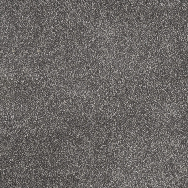 Dreamweaver Carpet Rustic Retreat I Twilight Plains Carpet 4440_4128