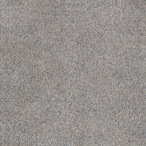 Dreamweaver Carpet Rustic Retreat I Wedgewood Carpet 4440_4130