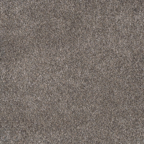 Dreamweaver Carpet Rustic Retreat II High Sierra Carpet 4455_4140