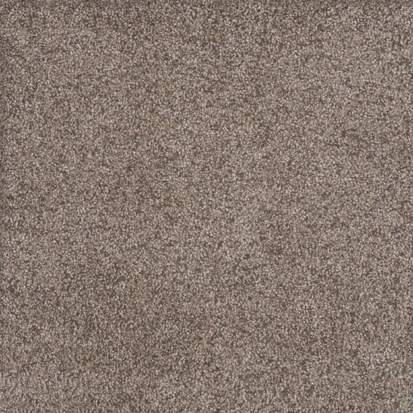 Dreamweaver Carpet Rustic Retreat I Clay Pot Carpet 4440_5032