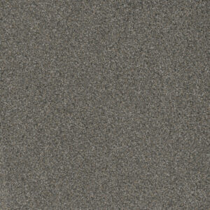 Dreamweaver Carpet Mill Creek II Rain Shadow Carpet 4740_2027
