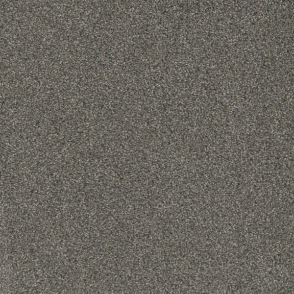 Dreamweaver Carpet Mill Creek I Rain Shadow Carpet 4730_2027