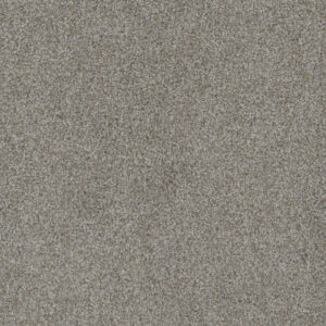 Dreamweaver Carpet Mill Creek II Off Shore Carpet 4740_4017