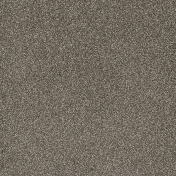Dreamweaver Carpet Mill Creek II Matrix Carpet 4740_4029