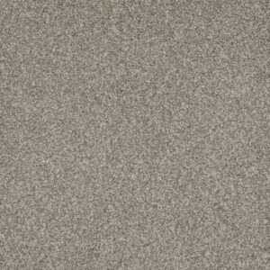 Dreamweaver Carpet Mill Creek II Baby's Breath Carpet 4740_4035