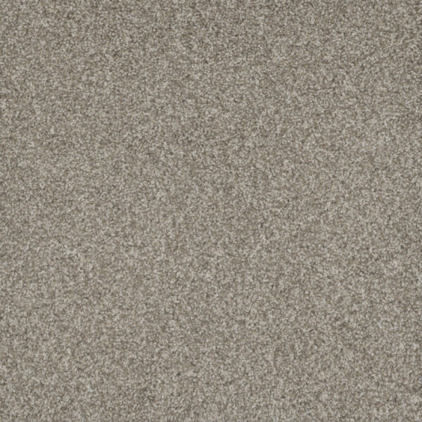 Dreamweaver Carpet Mill Creek II Baby's Breath Carpet 4740_4035