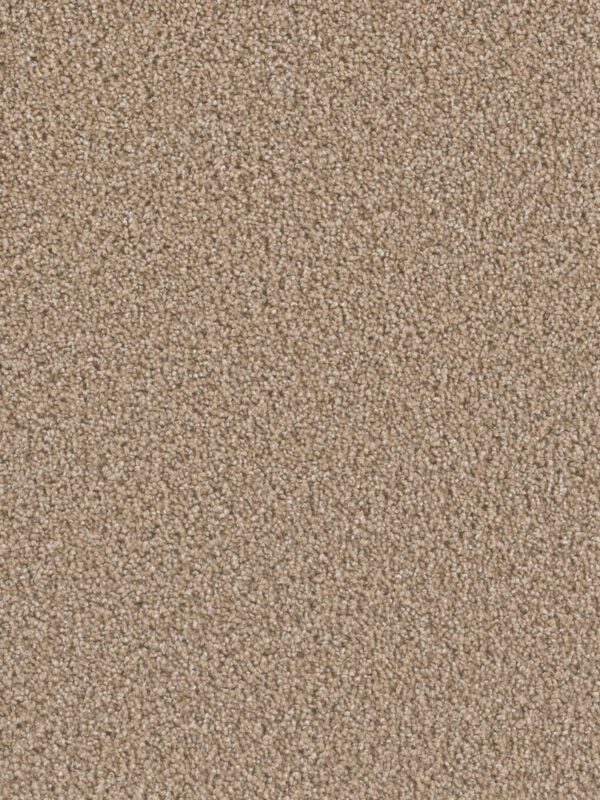 Dreamweaver Carpet Can'T Miss Straw Carpet 4748_551