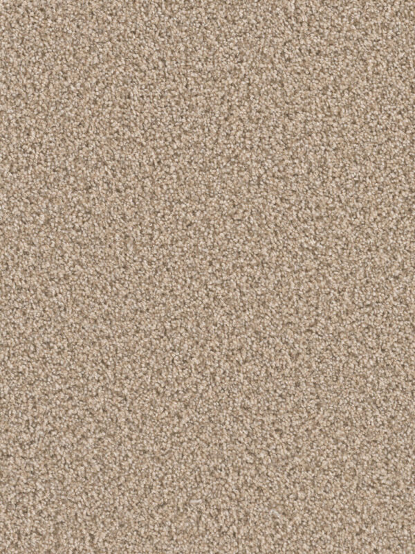 Dreamweaver Carpet Can'T Miss Oxford Carpet 4748_720