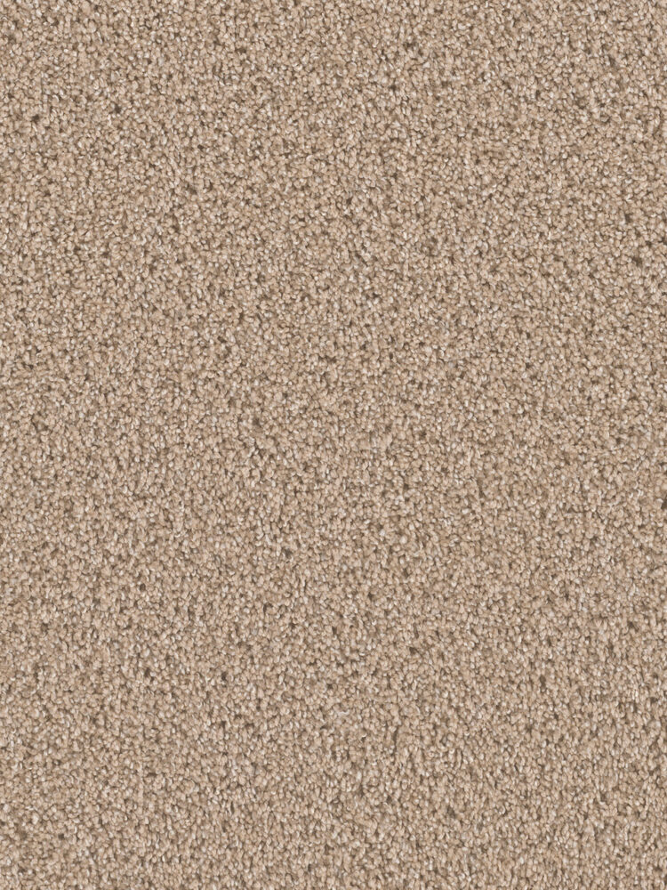 Dreamweaver Carpet Can'T Miss Ginger Carpet 4748_726