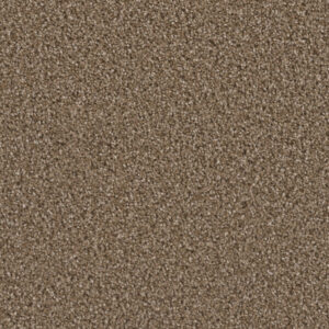 Dreamweaver Carpet Can'T Miss Peppercorn Carpet 4748_753