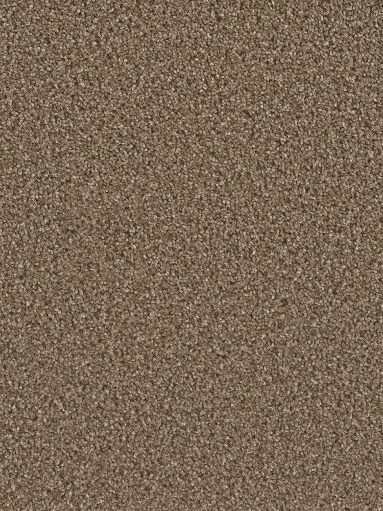 Dreamweaver Carpet Can'T Miss Peppercorn Carpet 4748_753