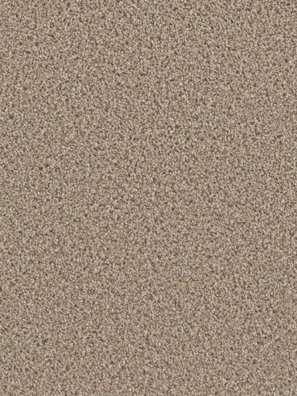 Dreamweaver Carpet Can'T Miss Mocha Carpet 4748_775