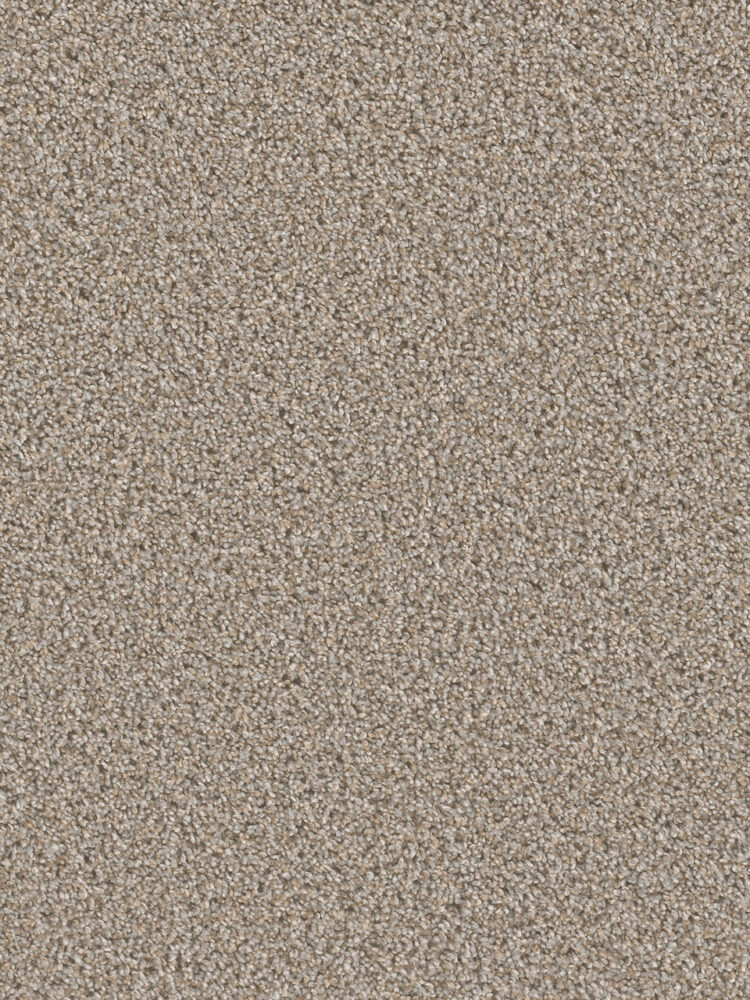 Dreamweaver Carpet Can'T Miss Iron Frost Carpet 4748_815