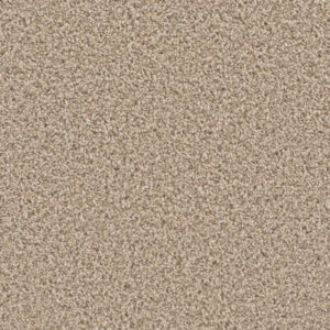 Dreamweaver Carpet Can'T Miss Linen Carpet 4748_824