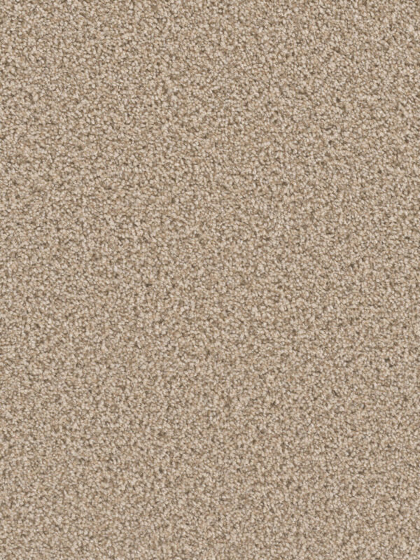 Dreamweaver Carpet Can'T Miss Linen Carpet 4748_824