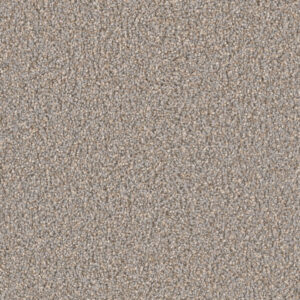 Dreamweaver Carpet Can'T Miss Shadows Carpet 4748_826