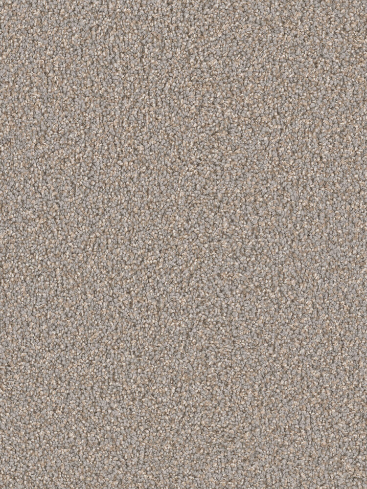Dreamweaver Carpet Can'T Miss Shadows Carpet 4748_826