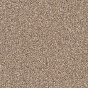 Dreamweaver Carpet Can'T Miss Acorn Carpet 4748_858