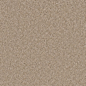 Dreamweaver Carpet Can'T Miss Tumbleweed Carpet 4748_883