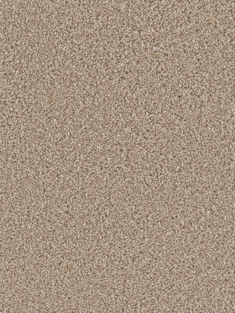 Dreamweaver Carpet Can'T Miss Tumbleweed Carpet 4748_883