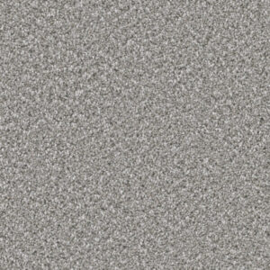 Dreamweaver Carpet Can'T Miss Moonstone Carpet 4748_903