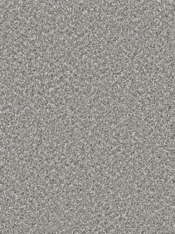 Dreamweaver Carpet Can'T Miss Moonstone Carpet 4748_903