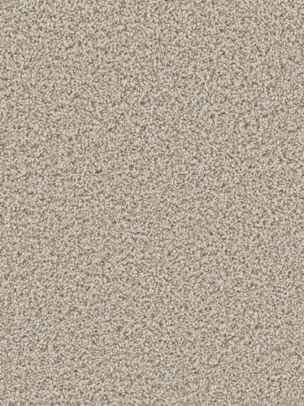 Dreamweaver Carpet Can'T Miss Stucco Carpet 4748_905