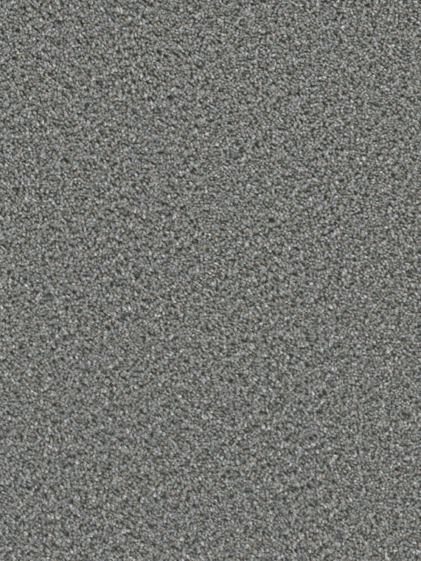 Dreamweaver Carpet Can'T Miss Galactic Carpet 4748_919