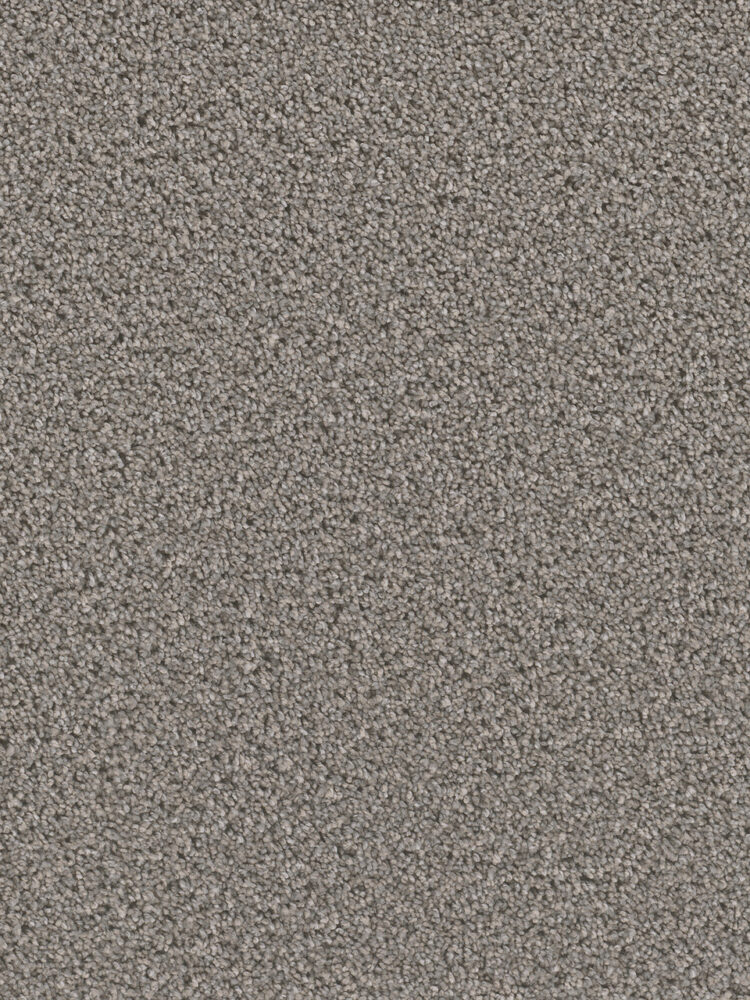 Dreamweaver Carpet Can'T Miss Orion Carpet 4748_955