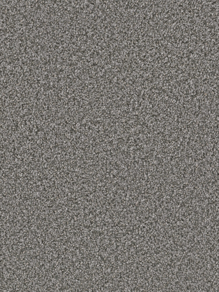 Dreamweaver Carpet Can'T Miss Zinc Carpet 4748_959
