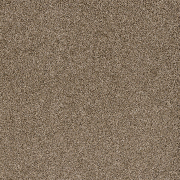Dreamweaver Carpet Stunning Straw Carpet 4765_551