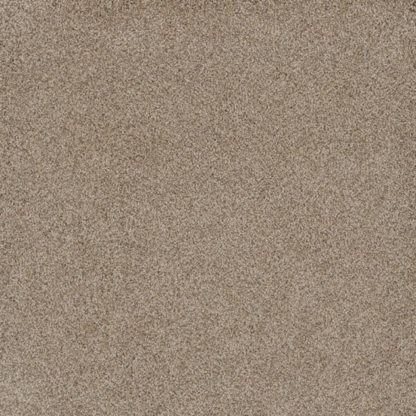 Dreamweaver Carpet Stunning Oxford Carpet 4765_720