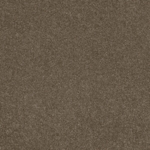 Dreamweaver Carpet Stunning Peppercorn Carpet 4765_753