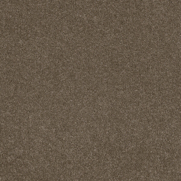 Dreamweaver Carpet Stunning Peppercorn Carpet 4765_753