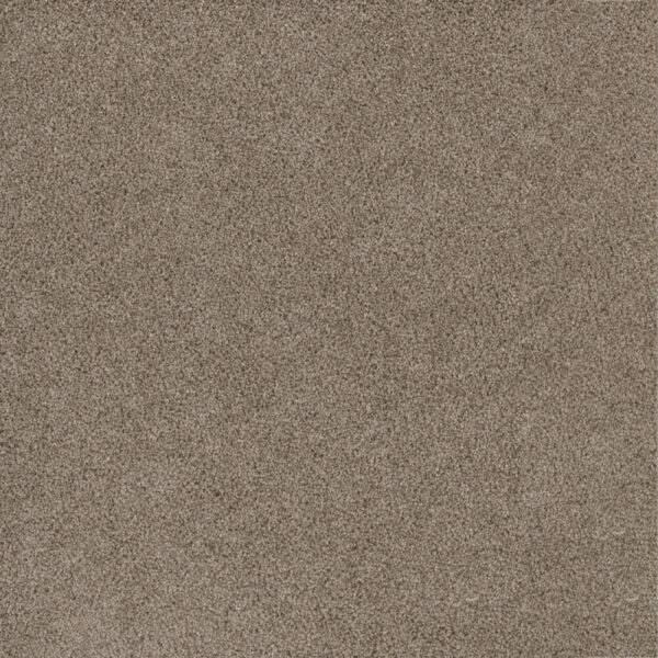 Dreamweaver Carpet Stunning Mocha Carpet 4765_775