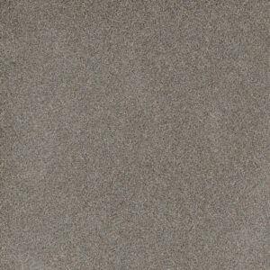 Dreamweaver Carpet Stunning Shadows Carpet 4765_826