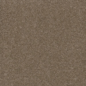 Dreamweaver Carpet Stunning Acorn Carpet 4765_858