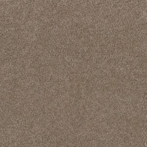Dreamweaver Carpet Stunning Tumbleweed Carpet 4765_883