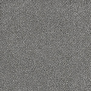 Dreamweaver Carpet Stunning Moonstone Carpet 4765_903
